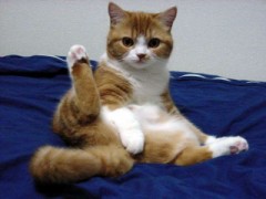 【お題日記】一人Hでこんなもの使ってみた