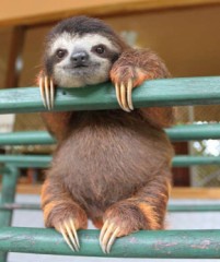 【お題日記】へそ出しファッションどう思う？