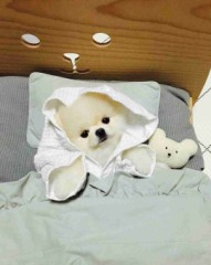 【お題日記】観覧車でHなことしたことある？