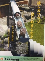 【お題日記】世界遺産見に行ったことありますか？