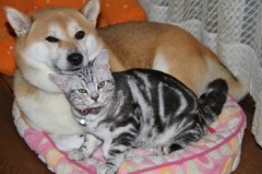 【お題日記】最近どこでHした？