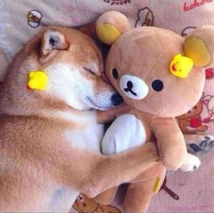 【お題日記】デートの度にHしてる？