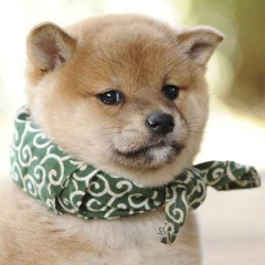 【お題日記】H中に考えちゃうこと