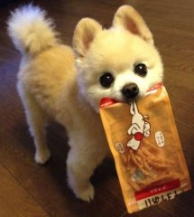 【お題日記】触れたくなるのはどんな脚？