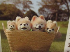 【お題日記】セックスはストレス解消になる？