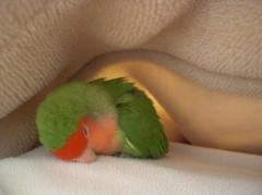 【お題日記】最長どれくらい遅刻したことある？