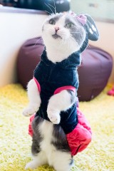 【お題日記】最近ナンパした・された？