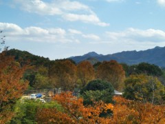 【お題日記】言ってもらいたい淫語