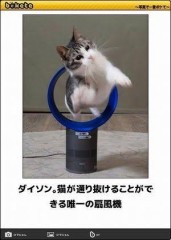 【お題日記】インスタやってますか？