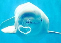 【お題日記】あなたにとって2017年最大の出来事は？