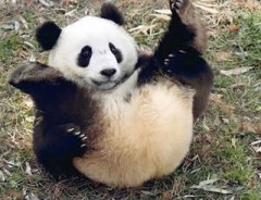 【お題日記】思ってもなかった相手としちゃったこと