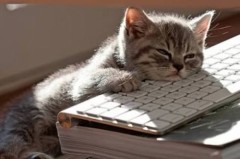 【お題日記】あれ？そこじゃないよ・・