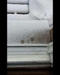 【お題日記】世渡り上手だなぁと思ったこと