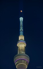 【お題日記】やめたいけどやめられないこと