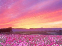 【お題日記】義理チョコってあげる？もらう？