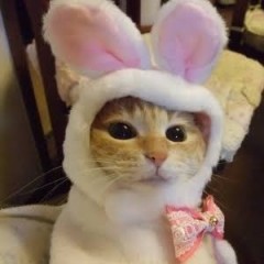 【お題日記】真冬の外出で欠かせない物は？