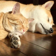 【お題日記】パートナーのHに不満ある？