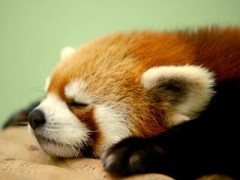 【お題日記】Hの時の誘い方はどうしてる？