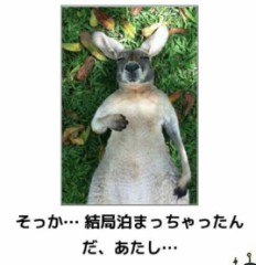 【お題日記】嘘みたいな本当の話