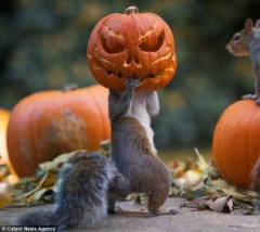 【お題日記】やって良かったと思った習い事