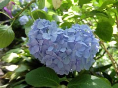 【お題日記】男性のあえぎ声ってどう？