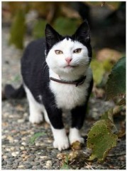 【お題日記】ソフトなHとハードなH、どちら派？