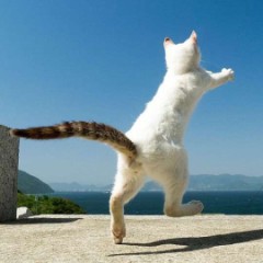 【お題日記】全裸で◯◯してみた