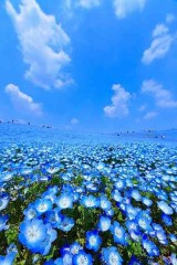 【お題日記】浮気を墓場まで持っていく覚悟はある？