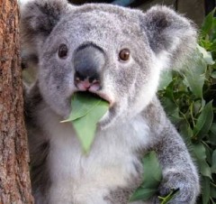 【お題日記】経験人数が何人以上だったら引く？