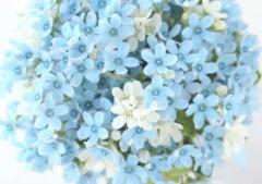 【お題日記】心にぐっと来た最近の出来事