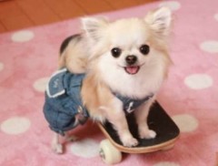 【お題日記】初対面の人と話すコツ