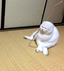 【お題日記】自分と同じ名前の人に会ったことある？