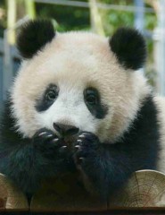 【お題日記】いつも持ち歩くもの