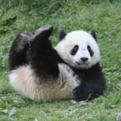 【お題日記】開発された！って思う自分の性癖