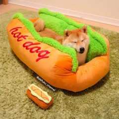 【お題日記】暑くなると食べたくなるもの