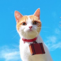 【お題日記】こんなアプリがあったらいいな♪