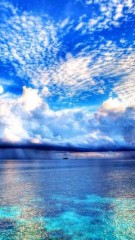 【お題日記】どぅしてもチェックしてしまうこと