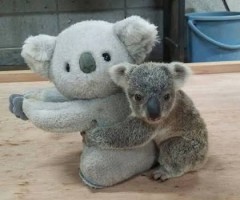 【お題日記】これは鉄板！な体位は？