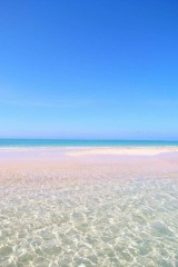 【お題日記】海開きです