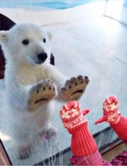 【お題日記】頭痛がひどい時どうしてる？