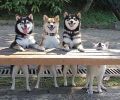 【お題日記】ついつい想像しちゃうワード