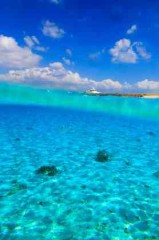 【お題日記】夏のレジャーといえば？