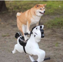 【お題日記】初一人エッチはいつ？