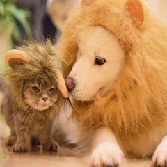 【お題日記】自由ってなんだ！？