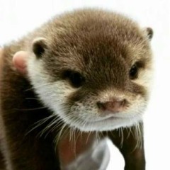 【お題日記】郵便物捨てる前に個人情報部分処理してる？