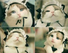 【お題日記】好きな人のココが気になる