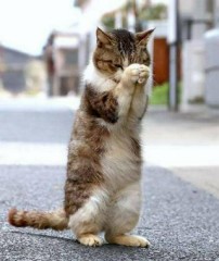 【お題日記】友人との下ネタどのくらいまで話せる？