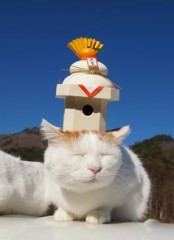 【お題日記】2019年新年のご挨拶