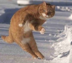 【お題日記】お尻叩く・叩かれるのってどう？