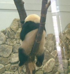 【お題日記】最近あったHな出会い